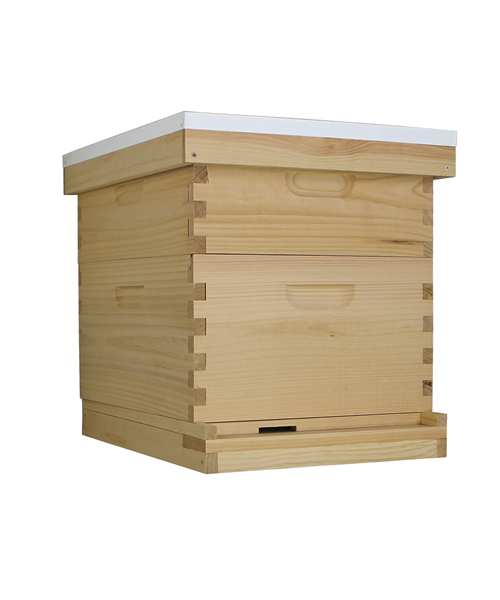 10 Frame Langstroth Beehive (1 Deep Box & 1 Medium Box)