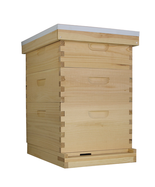 10 Frame Beehive (1 Deep Box & 2 Medium Boxes)