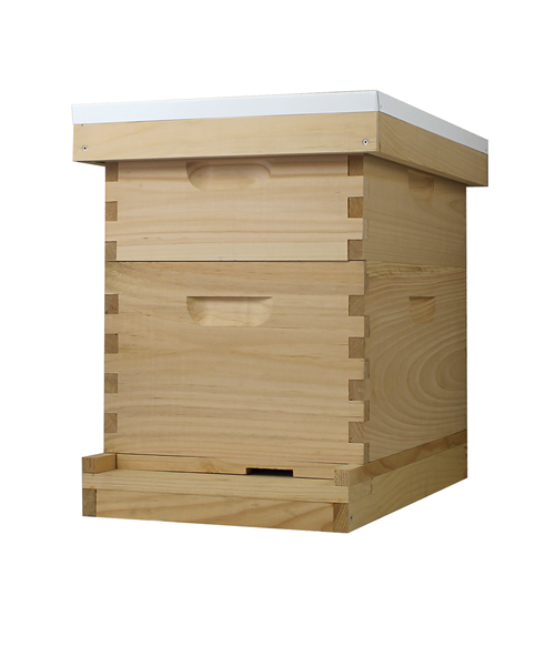 8 Frame Beehive (1 Deep Box & 1 Medium Box)