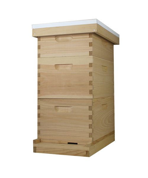 8 Frame Beehive (2 Deep Boxes & 1 Medium Box)