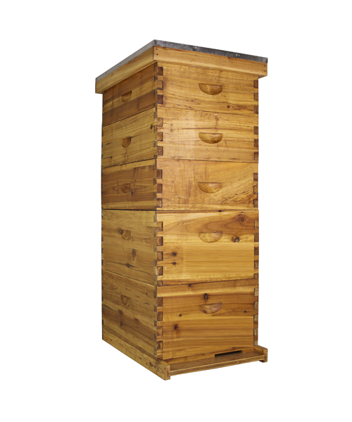 10 Frame Beeswax Coated Beehive (2 Deep Boxes & 3 Medium Boxes)