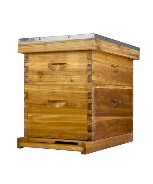  8 Frame Beeswax Coated Beehive (1 Deep Box & 1 Medium Box)