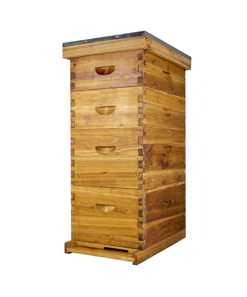8 Frame Beeswax Coated Beehive (2 Deep Boxes & 2 Medium Boxes)