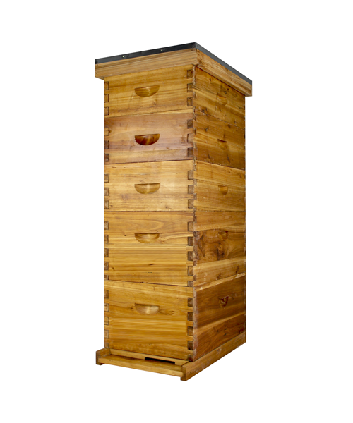 8 Frame Beeswax Coated Beehive (2 Deep Boxes & 3 Medium Boxes)